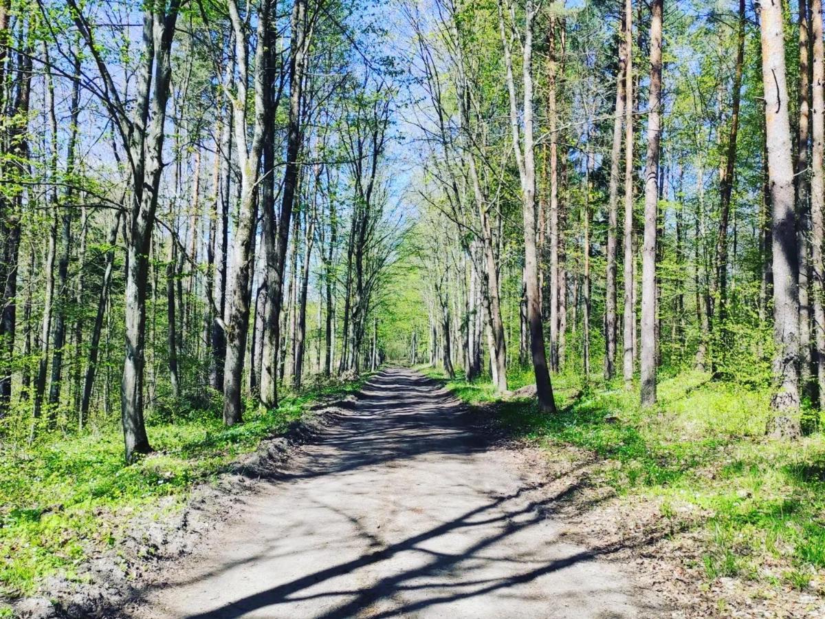 Zagroda Mazury -,,domki Nad Rozlewiskiem